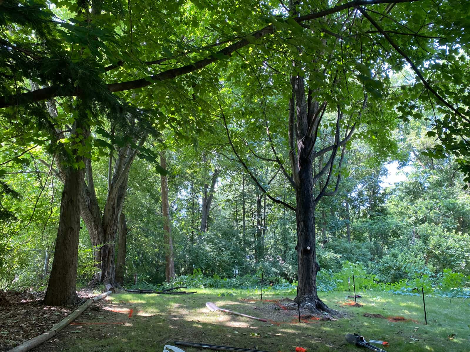 New Hudson Tree House — Before