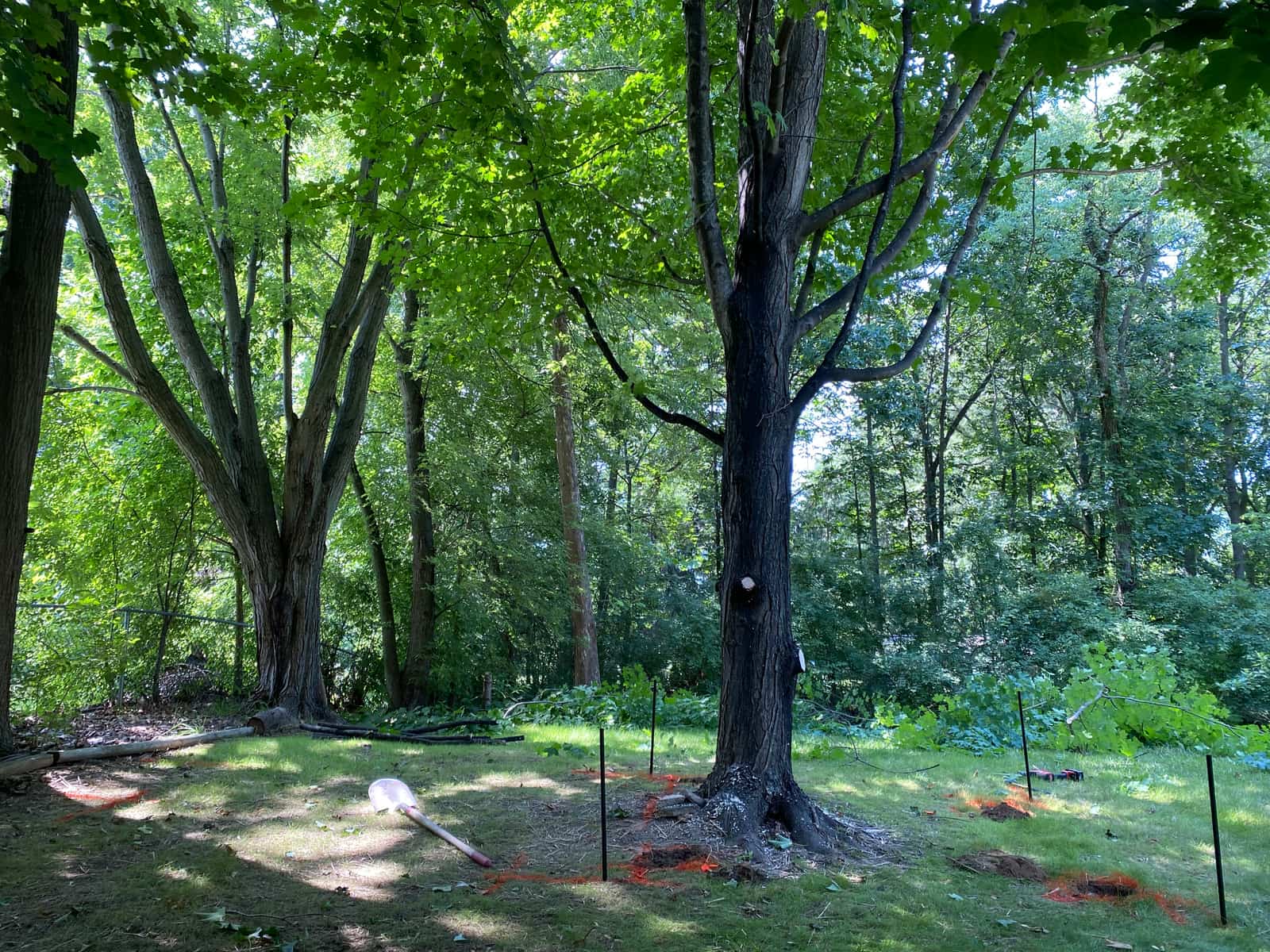 New Hudson Tree House — Before